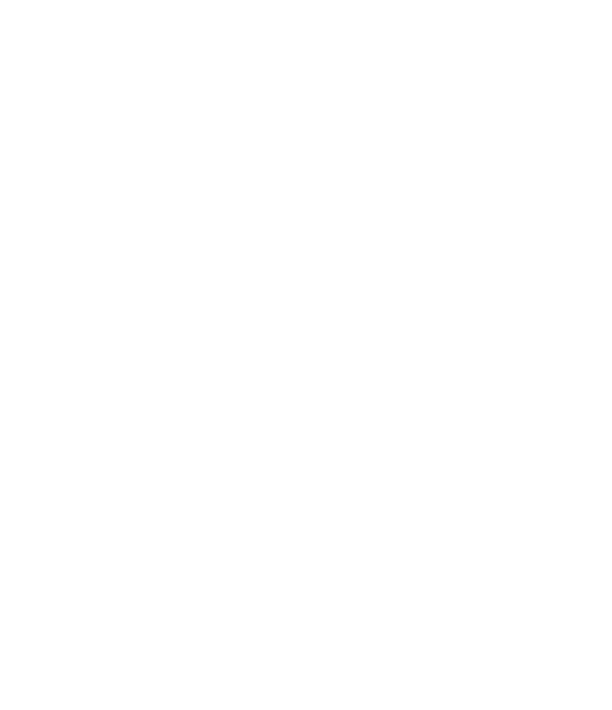 Big Lead Assembly (BLA)