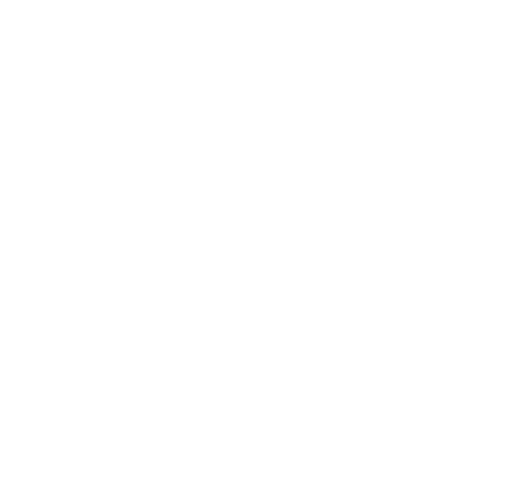 Interconnection and Extension Solutions