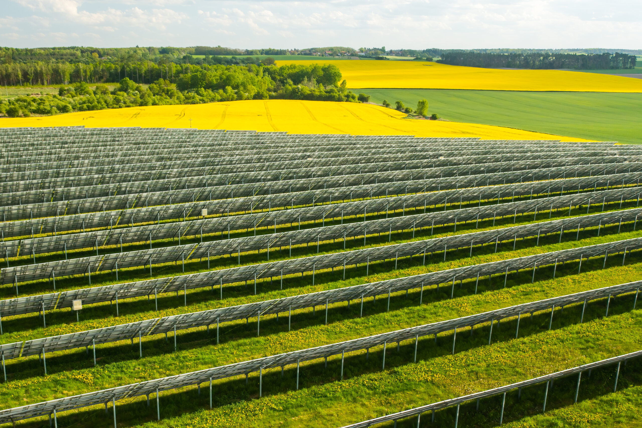 Planta solar fotovoltaica en un entorno rural
