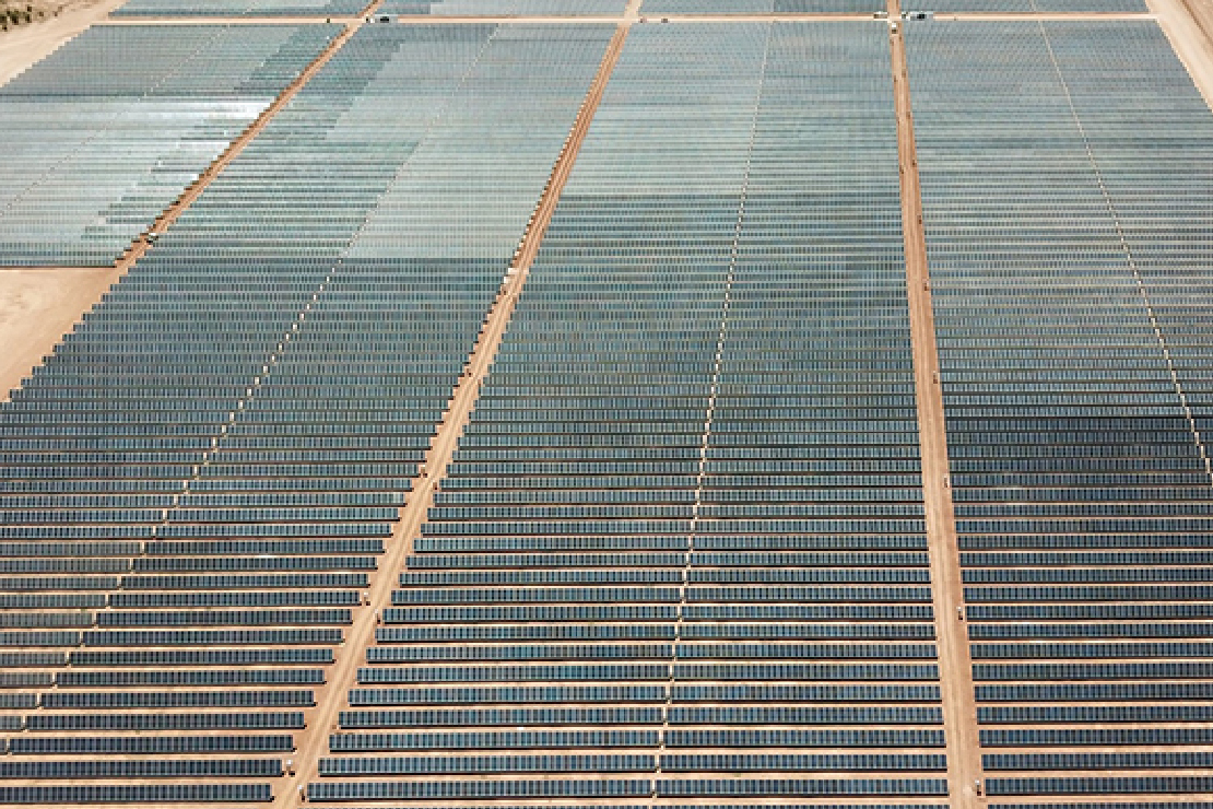 Rows of commercial solar panels